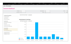 Executive Dashboard