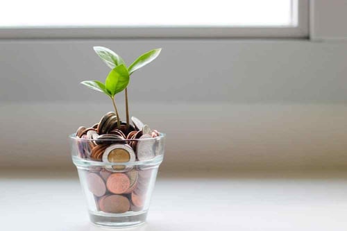 A small pot of coins sits on a window ledge with a plant sprouting out