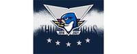 Springfield Thunderbirds