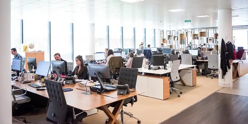 An office full of employees working at their work stations independently.