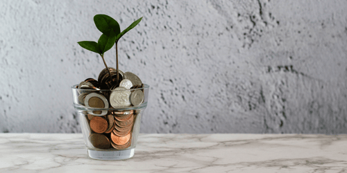 A small transparent pot filled with coins and a small plant sits on top of a table.