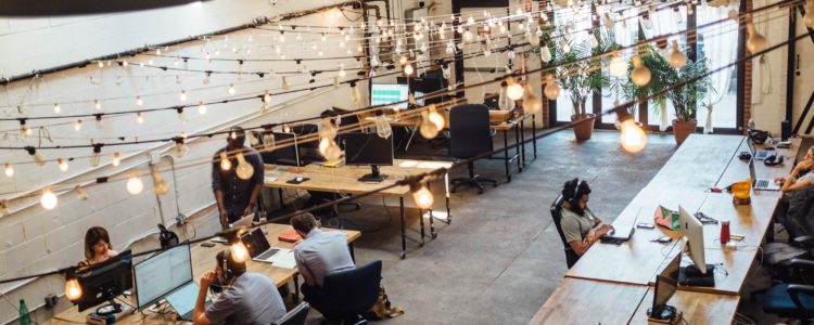 People work at their computers in an open floor plan office with string lights above them