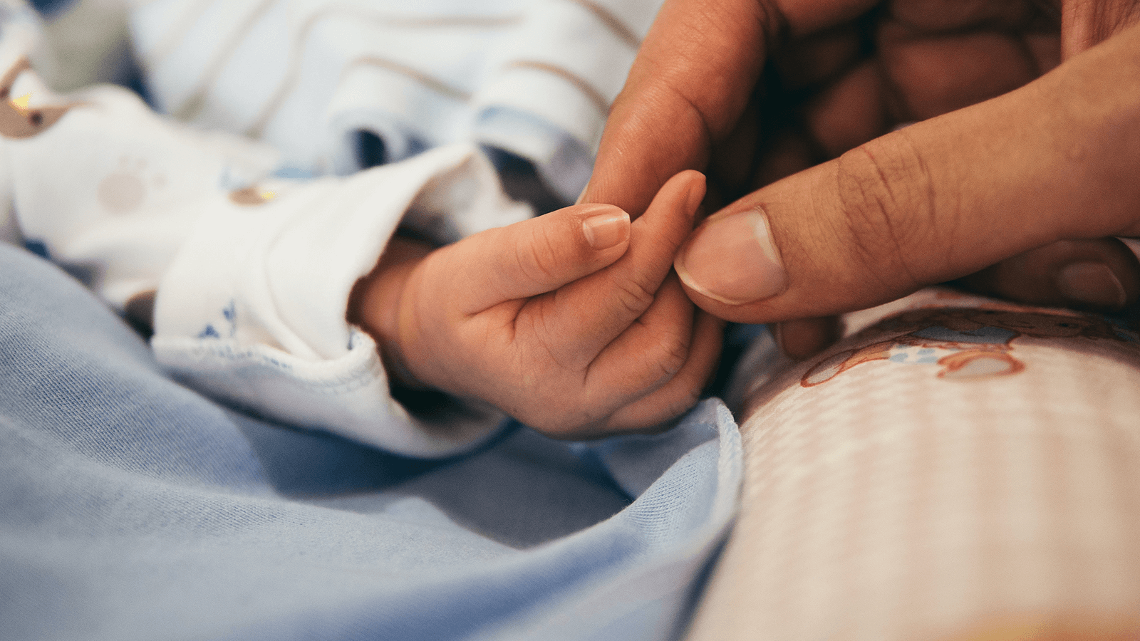 An adult hand holding a newborn baby's hand.
